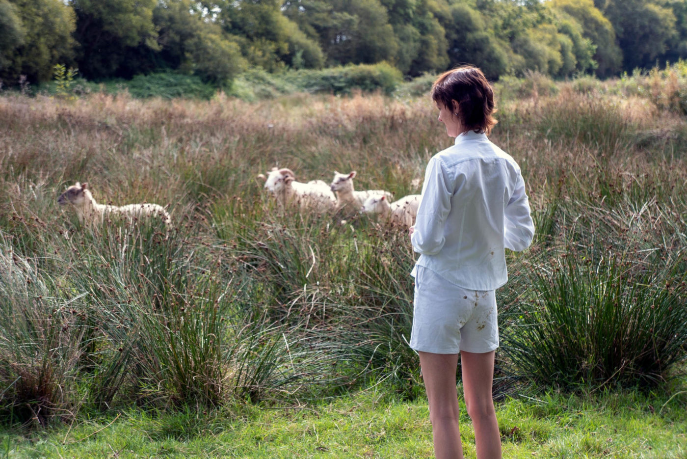 Marion Thomas se tient debout dans une prairie. Elle est de dos et porte une chemise et un short. Elle observe des moutons qui se sont faufilés dans des buissons.