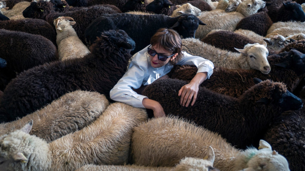Marion Thomas is in a barn. She is surrounded by black and white sheep. Only the upper part of her body is visible. Her arms are resting on the sheep. She is wearing sunglasses.