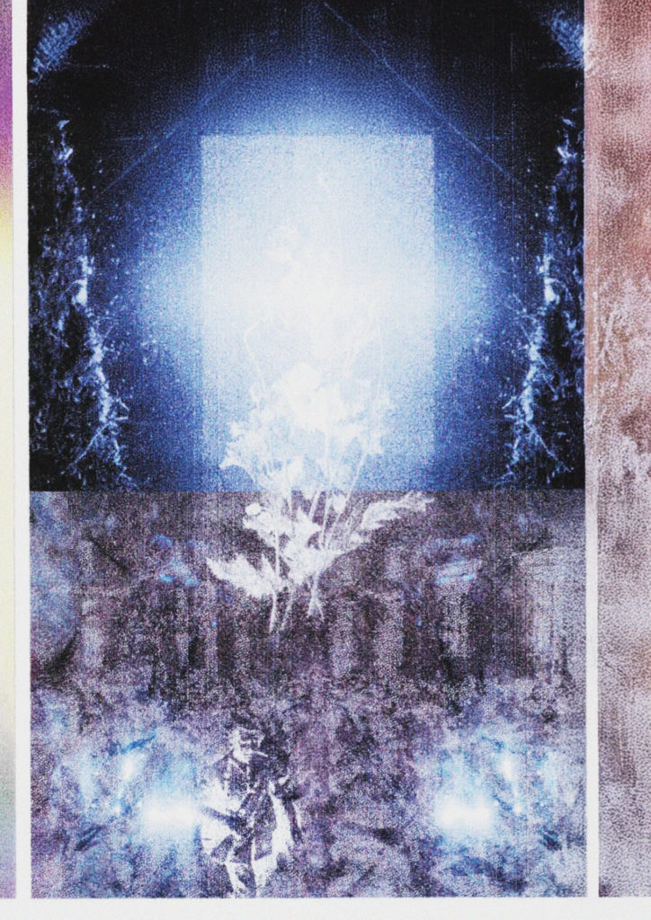Graphic montage in tones of sepia, blue, and white. A thistle can be seen in the center of the image. It has a rather mysterious feel.