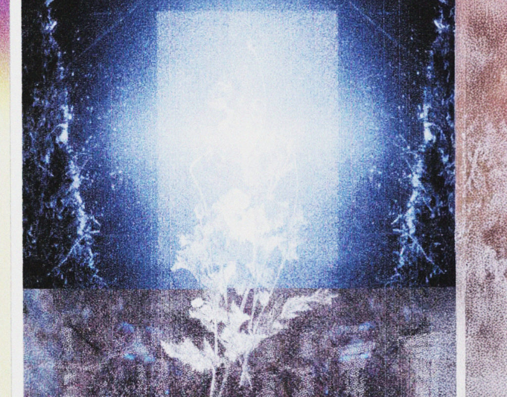 Montage graphique avec des couleurs entre sépia, bleu et blanc. On aperçoit un chardon au milieu de l'image. C'est assez mystérieux.