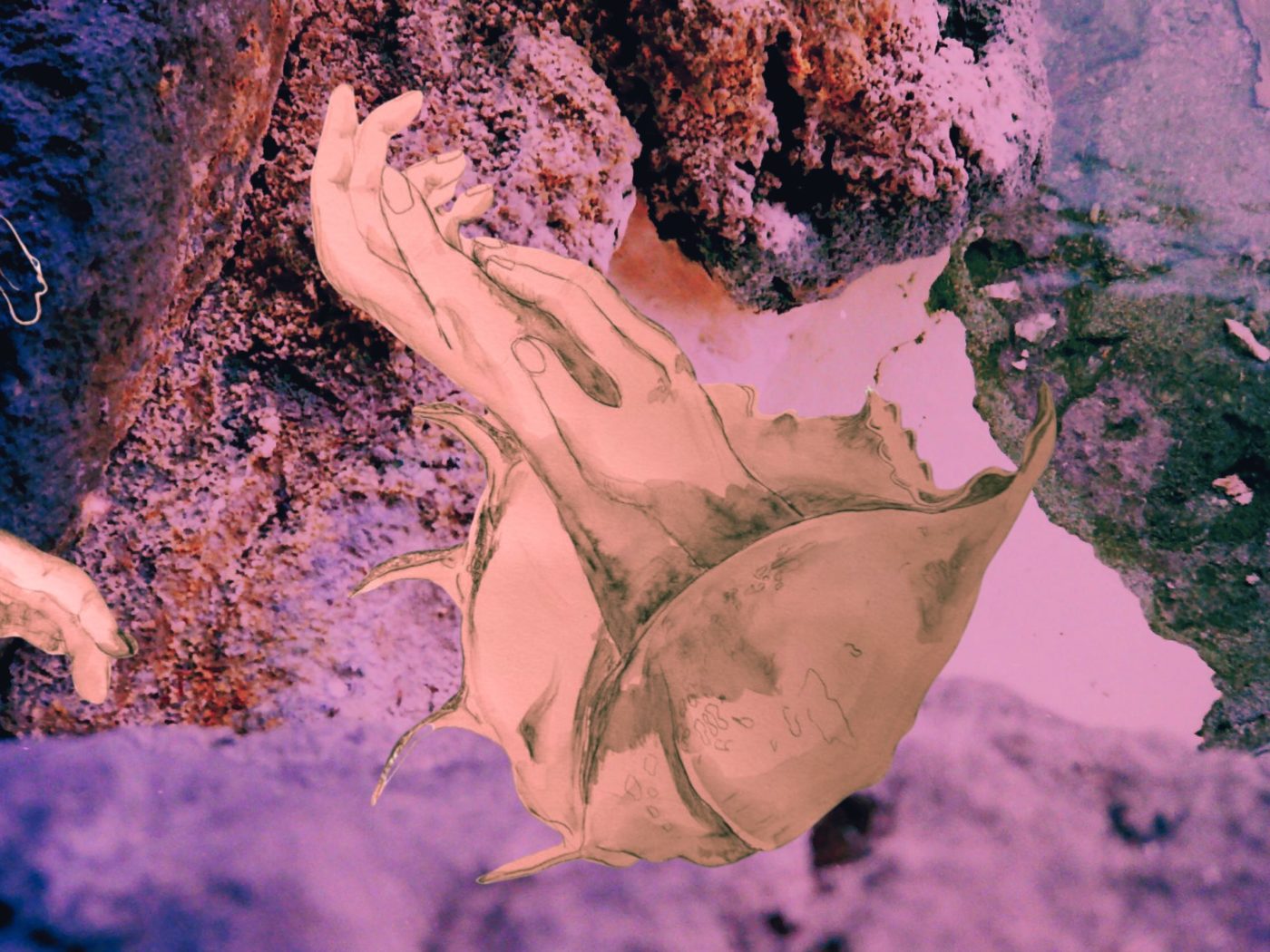 Image décorative.